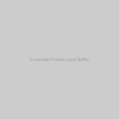 Exosomal Protein Lysis Buffer